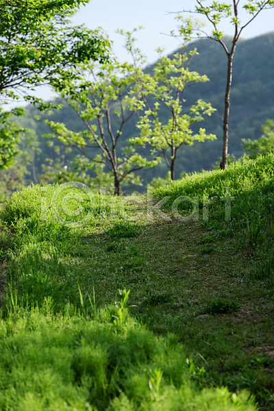 사람없음 JPG 포토 공원 나무 대전 대청공원 숲 야외 자연 주간 초록색 풍경(경치) 한국