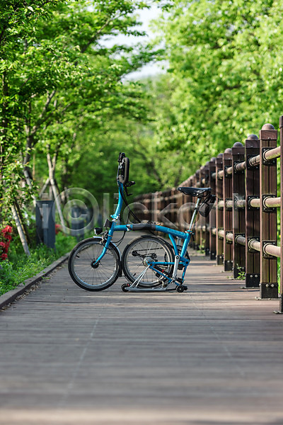 사람없음 JPG 포토 공원 길 나무 대전 대청공원 숲 야외 원근감 자연 자전거 주간 초록색 풍경(경치) 한국