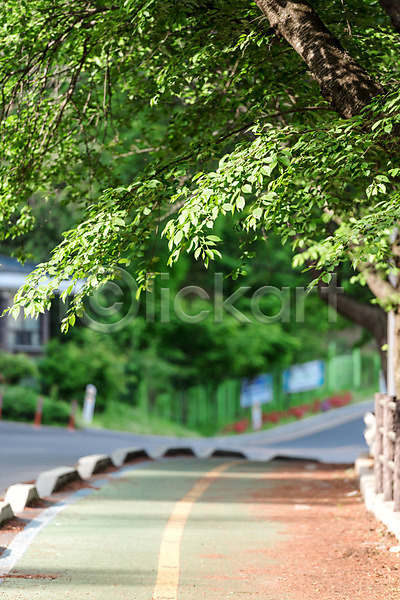 사람없음 JPG 아웃포커스 포토 길 나무 도로 숲 야외 자연 자전거길 주간 초록색 풍경(경치) 한국