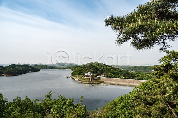 사람없음 JPG 포토 나무 대청호 맑음 숲 야외 자연 주간 초록색 풍경(경치) 한국 호수