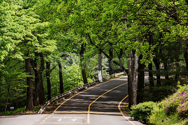 사람없음 JPG 포토 가로수 공원 나무 도로 맑음 숲 야외 원근감 자연 주간 청남대 초록색 풍경(경치) 한국