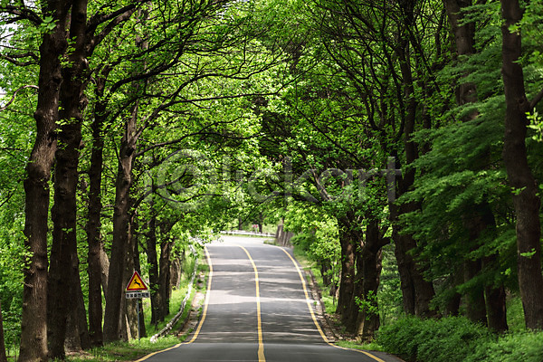 사람없음 JPG 포토 가로수 공원 나무 도로 맑음 숲 야외 원근감 자연 주간 청남대 초록색 풍경(경치) 한국