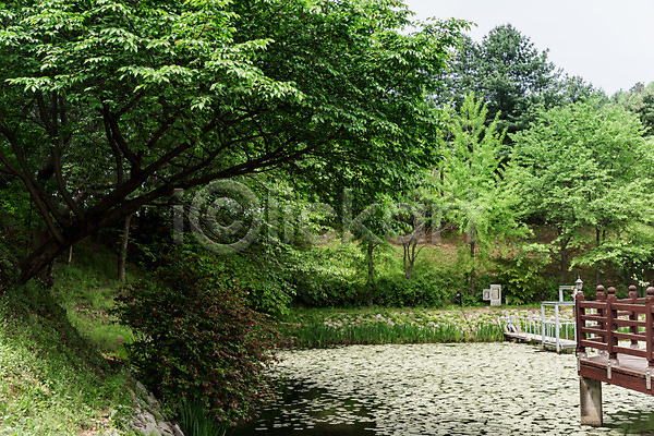 사람없음 JPG 포토 공원 나무 숲 야외 자연 주간 청남대 초록색 풍경(경치) 한국 호수