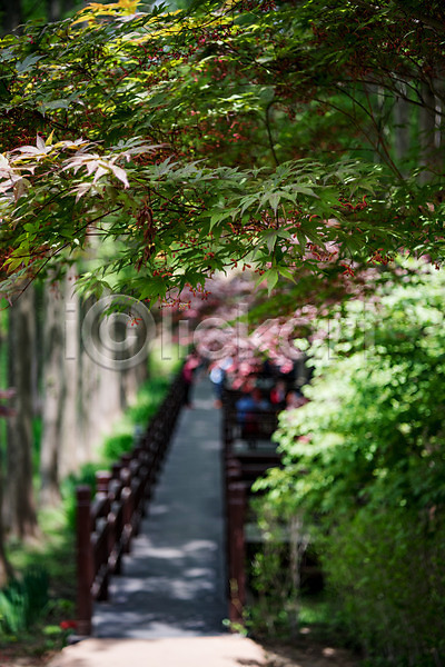 사람없음 JPG 아웃포커스 포토 공원 나무 산책로 숲 야외 원근감 자연 주간 청남대 초록색 풍경(경치) 한국