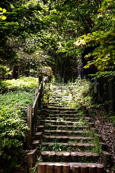 사람없음 JPG 포토 계단 공원 나무 숲 숲속 야외 자연 주간 청남대 초록색 풍경(경치) 한국