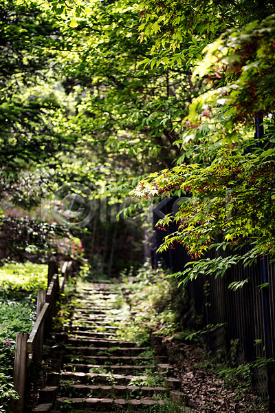 사람없음 JPG 아웃포커스 포토 계단 공원 나무 산책로 숲 야외 자연 주간 청남대 초록색 풍경(경치) 한국
