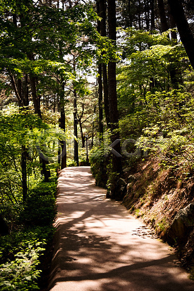 사람없음 JPG 포토 공원 나무 산책로 숲 야외 원근감 자연 주간 청남대 초록색 풍경(경치) 한국