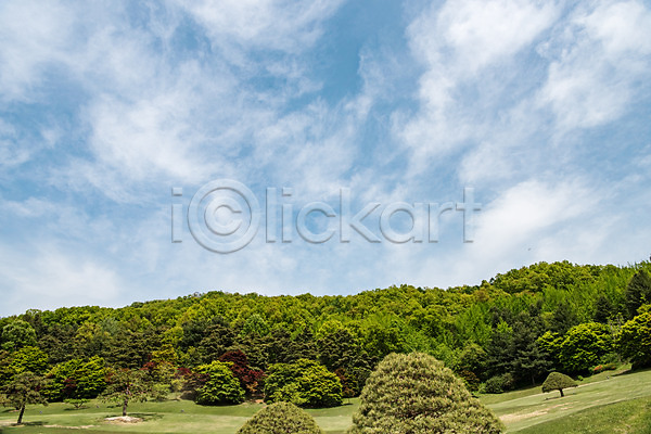 사람없음 JPG 포토 공원 구름(자연) 나무 맑음 숲 야외 자연 주간 청남대 초록색 풍경(경치) 하늘 한국