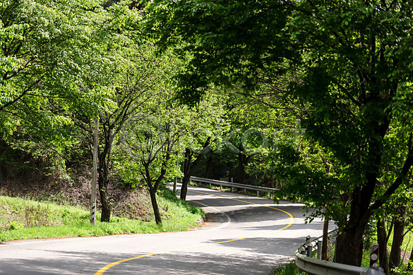 사람없음 JPG 포토 가로수 공원 나무 도로 맑음 숲 야외 원근감 자연 주간 초록색 풍경(경치)