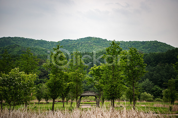 사람없음 JPG 포토 공원 나무 남한강 숲 야외 자연 주간 초록색 충청북도 풍경(경치) 한국