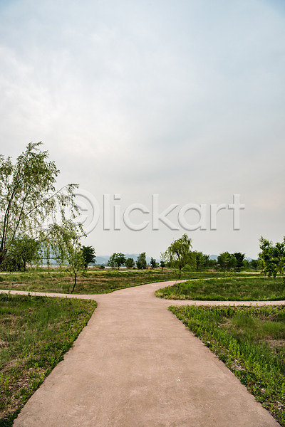 사람없음 JPG 포토 공원 길 나무 남한강 숲 야외 자연 주간 초록색 충청북도 풍경(경치) 하늘 한국