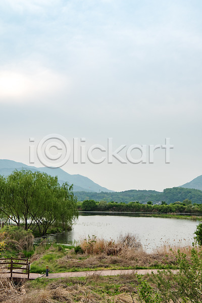 사람없음 JPG 포토 강 강가 나무 남한강 숲 야외 자연 주간 초록색 충청북도 풍경(경치) 하늘 한국