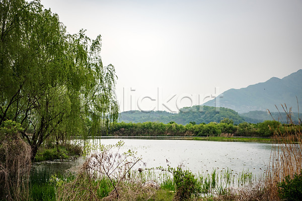 사람없음 JPG 포토 강 강가 나무 남한강 숲 야외 자연 주간 초록색 충청북도 풍경(경치) 한국