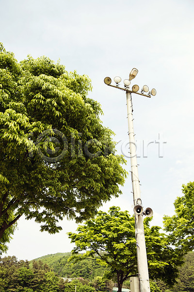사람없음 JPG 로우앵글 포토 공원 나무 맑음 숲 야외 자연 전봇대(시설물) 주간 초록색 풍경(경치)