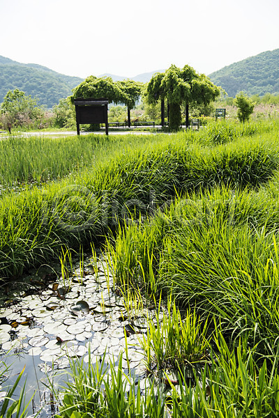 사람없음 JPG 포토 나무 맑음 숲 습지 야외 연못 오두막 자연 주간 초록색 풍경(경치) 한국