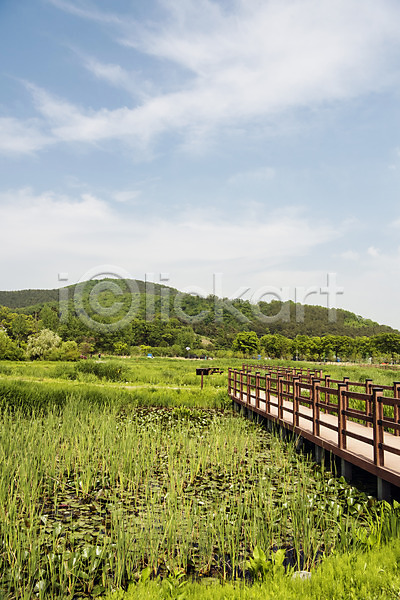 사람없음 JPG 포토 나무 맑음 숲 습지 야외 연못 자연 주간 초록색 풍경(경치) 하늘 한국