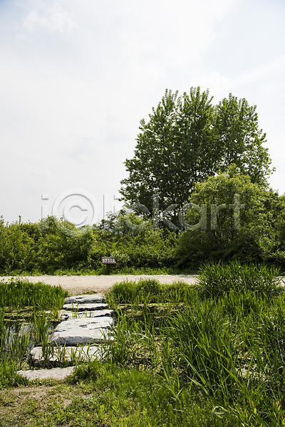 사람없음 JPG 포토 공원 나무 돌다리 숲 습지 야외 연못 자연 주간 초록색 풍경(경치)
