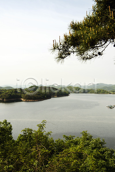 사람없음 JPG 포토 나무 소나무 숲 야외 자연 주간 초록색 풍경(경치) 호수