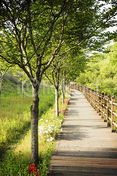 사람없음 JPG 포토 공원 길 나무 맑음 산책로 숲 야외 원근감 자연 주간 초록색 풍경(경치)