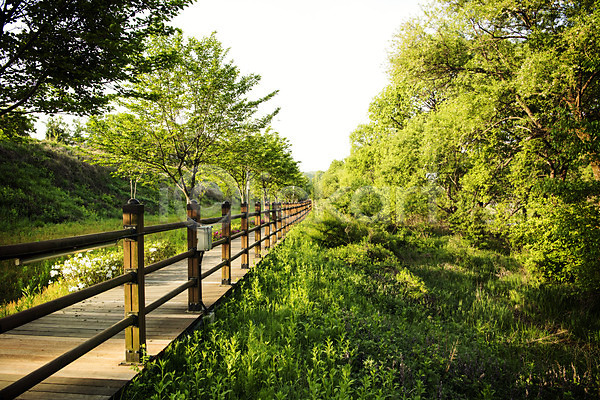 사람없음 JPG 포토 공원 나무 맑음 산책로 숲 야외 원근감 자연 주간 초록색 풍경(경치)