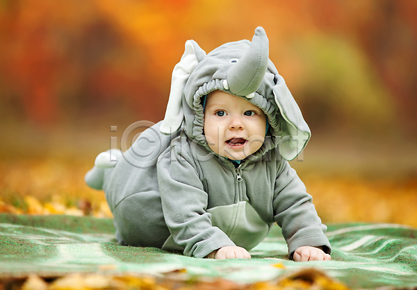 남자 남자아기한명만 서양인 아기 한명 JPG 아웃포커스 앞모습 포토 해외이미지 가을(계절) 낙엽 동물옷 야외 엎드리기 잠옷 전신 주간 코끼리