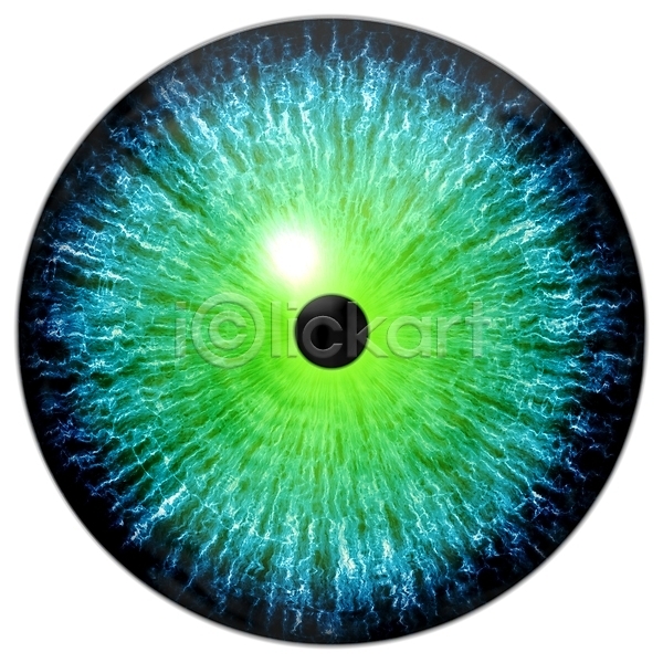 사람 사람없음 JPG 일러스트 포토 해외이미지 검은색 고립 그래픽 눈(신체부위) 눈동자 디자인 묘사 반사 백그라운드 붓꽃 비전 빛 응시 지구본 질감 초록색 추상 파란색 학생 해외202004 흰색