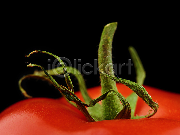 성장 신선 사람없음 JPG 포토 해외이미지 건강 과일 날것 내추럴 비건 빨간색 수증기 유기농 음식 잎 채소 초록색 토마토 포도나무 해외202004