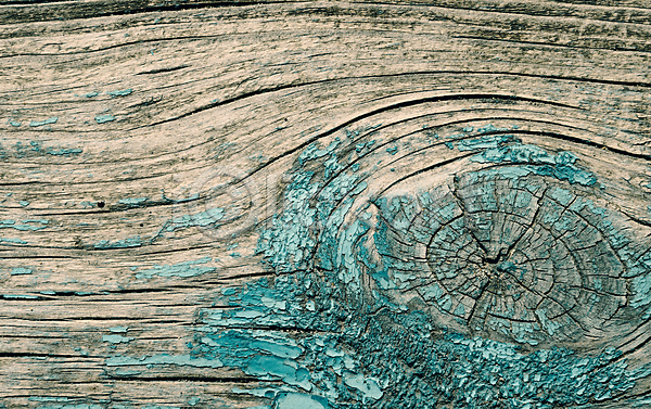 사람없음 JPG 포토 해외이미지 거친 그런지 널 목재 백그라운드 벽 수목 옛날 자연 질감 초록색 추상 패턴 페인트 표면 해외202004