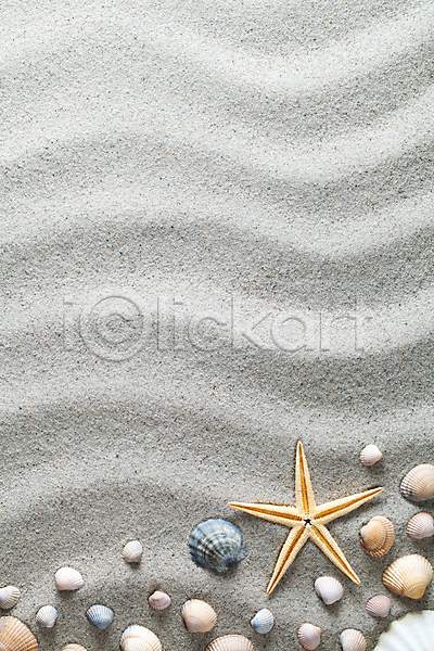 사람없음 JPG 포토 해외이미지 갈색 검은색 껍질 모래 모래사장 바다 백그라운드 불가사리 세로 여름(계절) 여행 정상 조개 질감 컨셉 컬러풀 해외202004 회색 휴가 흰색