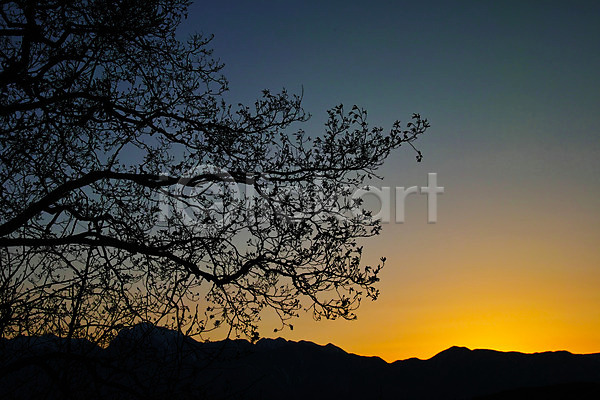 사람없음 JPG 실루엣 포토 나뭇가지 노을 산 야외 일몰 자연 자연현상 풍경(경치) 하늘