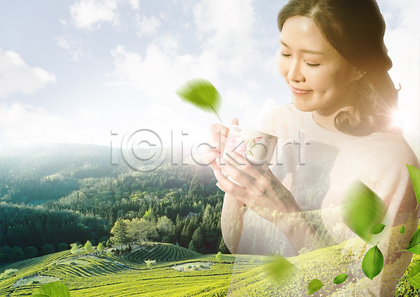 여유 40대 성인 여자 중년여자한명만 한국인 한명 PSD 편집이미지 구름(자연) 나뭇잎 녹차 녹차밭 머그컵 상반신 편집 하늘