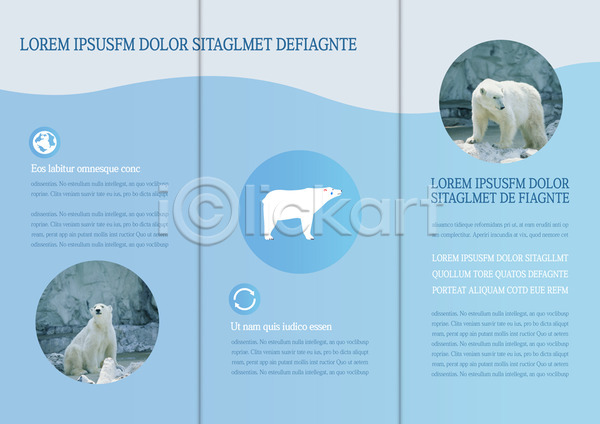 동물보호 지구온난화 환경보전 사람없음 AI(파일형식) 템플릿 3단접지 그린캠페인 내지 리플렛 북극곰 북디자인 북커버 야생동물 자연보호 출판디자인 팜플렛 표지디자인 환경