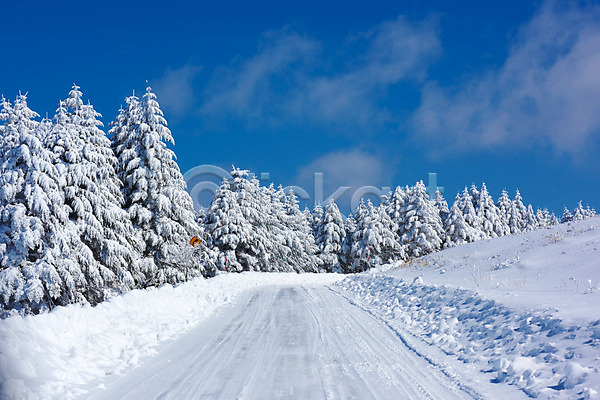 사람없음 JPG 포토 겨울 겨울풍경 구름(자연) 나무 눈(날씨) 설경 숲 야외 오르막 일본 자연 주간 풍경(경치) 하늘
