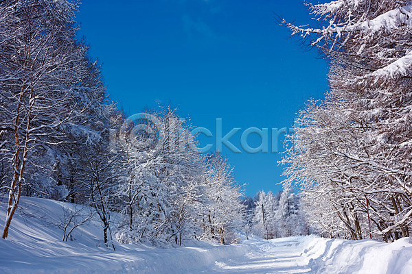 사람없음 JPG 포토 겨울 겨울풍경 구름(자연) 나무 눈(날씨) 설경 숲 숲길 야외 일본 자연 주간 풍경(경치) 하늘
