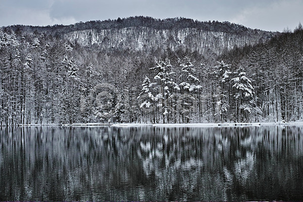 사람없음 JPG 포토 겨울 겨울풍경 구름(자연) 나무 눈(날씨) 물그림자 산 설경 숲 야외 일본 자연 주간 풍경(경치) 하늘 호수