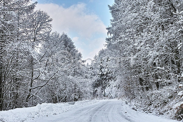 사람없음 JPG 포토 겨울 겨울풍경 구름(자연) 나무 눈(날씨) 도로 설경 숲 야외 원근감 일본 자연 주간 풍경(경치) 하늘