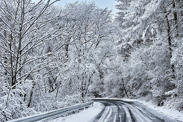 사람없음 JPG 포토 겨울 겨울풍경 나무 눈(날씨) 도로 설경 숲 야외 원근감 일본 자연 주간 커브길 풍경(경치)
