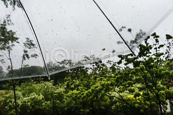 사람없음 JPG 포토 나무 비(날씨) 빗방울 야외 여름(계절) 우산 장마 주간 투명