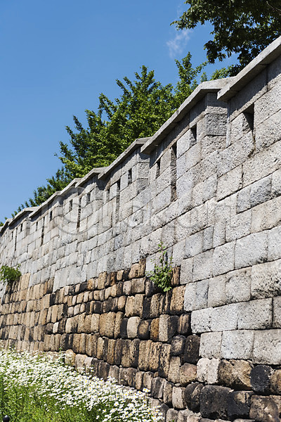 사람없음 JPG 포토 길 꽃 꽃밭 나무 돌담 민들레 성 성곽길 야외 인왕산 전통 주간 트래킹 하늘 한국 한국건축 한양도성