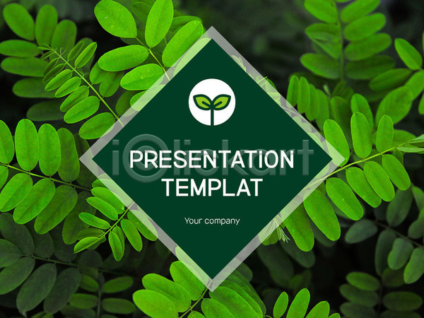 사람없음 PPT 문서템플릿 템플릿 8P 그래프 문서 바람개비 비즈니스 에너지 잎 초록색 풀잎 프레젠테이션 환경