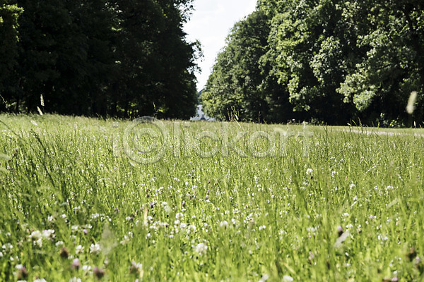 사람없음 JPG 포토 공원 나무 동유럽 야외 유럽 유럽풍경 주간 체코 초원(자연) 풍경(경치) 프라하 해외 해외풍경