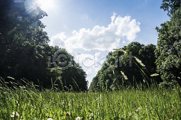 사람없음 JPG 포토 공원 구름(자연) 나무 동유럽 야외 유럽 유럽풍경 주간 체코 초원(자연) 풀(식물) 풍경(경치) 프라하 하늘 해외 해외풍경