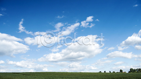 사람없음 JPG 포토 구름(자연) 나무 동유럽 야외 유럽 유럽풍경 주간 체코 초원(자연) 풍경(경치) 프라하 하늘 해외 해외풍경
