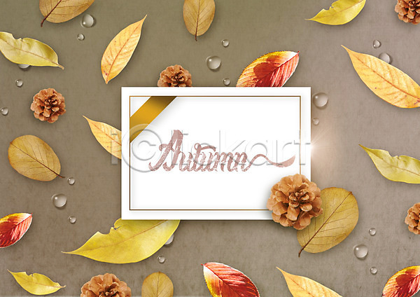 사람없음 PSD 편집이미지 가을(계절) 나뭇잎 낙엽 물방울 사각프레임 솔방울 종이 편집
