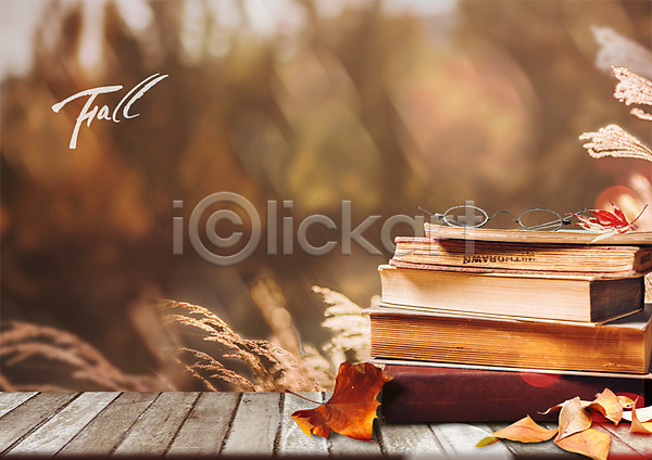 사람없음 PSD 편집이미지 가을(계절) 갈대(식물) 낙엽 독서 쌓기 책 편집