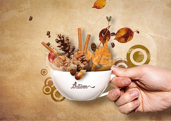 신체부위 한명 PSD 편집이미지 가을(계절) 낙엽 도토리 들기 손 솔방울 원두 커피 커피잔 편집 한손