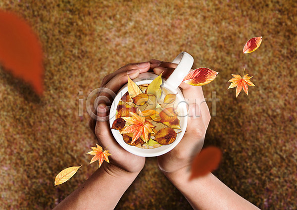 신체부위 한명 PSD 편집이미지 가을(계절) 낙엽 단풍 들기 양손 커피 커피잔 편집