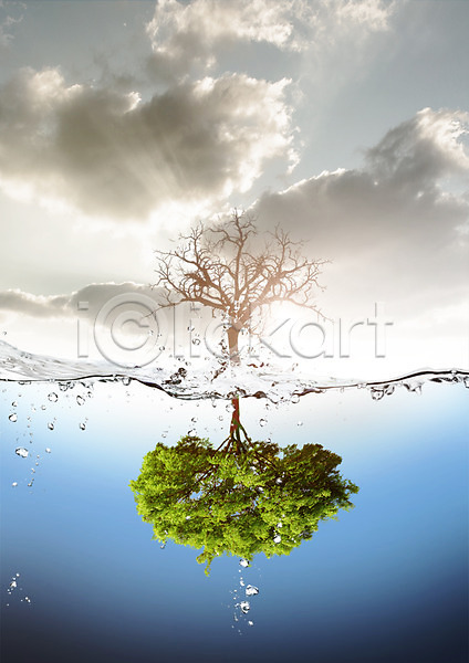 사람없음 PSD 편집이미지 구름(자연) 그린캠페인 나무 노을 물 물방울 자연 자연보호 편집 하늘 환경