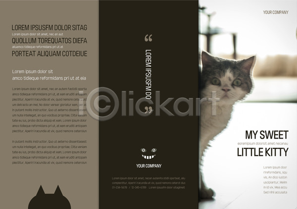 사람없음 AI(파일형식) 템플릿 3단접지 고양이 리플렛 반려 반려동물 북디자인 북커버 출판디자인 팜플렛 편집 표지 표지디자인