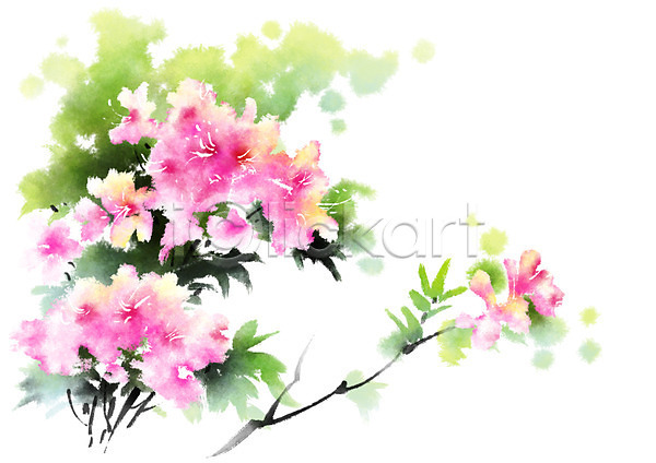 사람없음 PSD 일러스트 꽃 꽃나무 나뭇가지 봄 분홍색 여러송이 자연 철쭉 캘리그라피